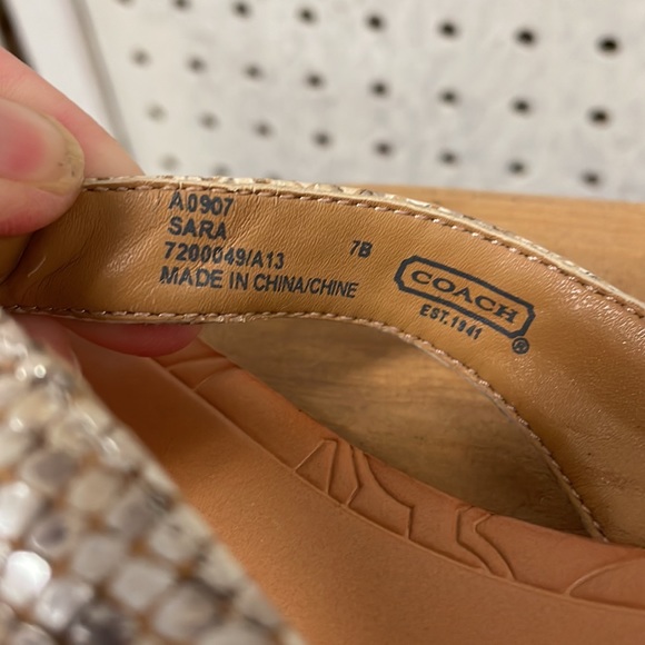 Coach - Picture 6 of 10